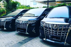 sewa alphard vellfire luxury